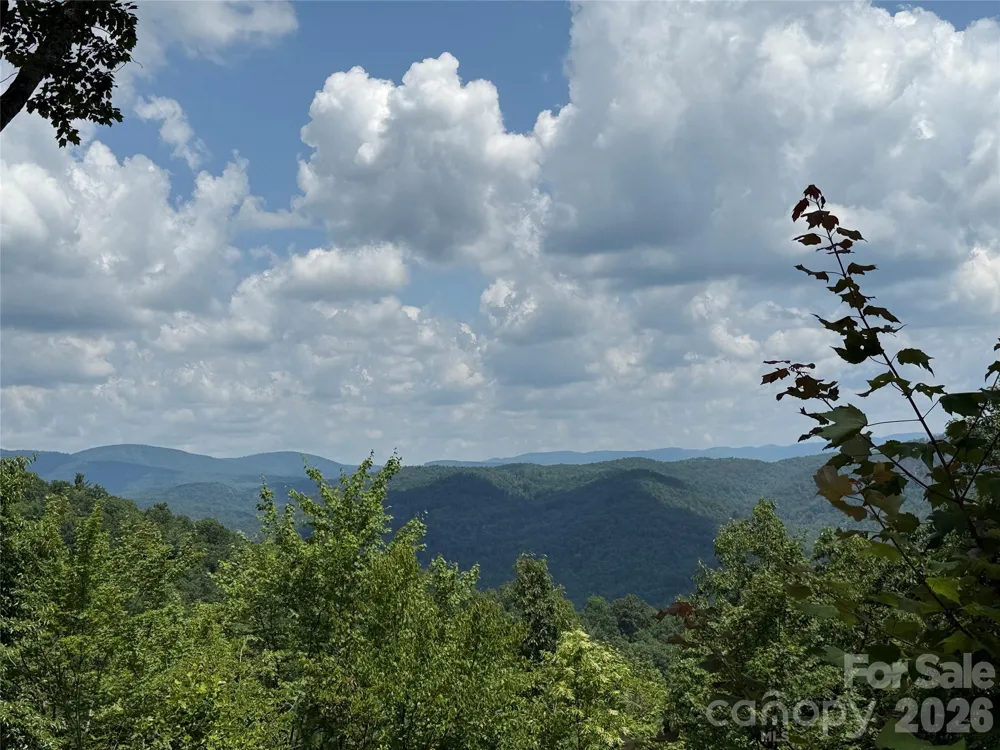 337 Lucas Path Drive #69 Purlear, NC 28665