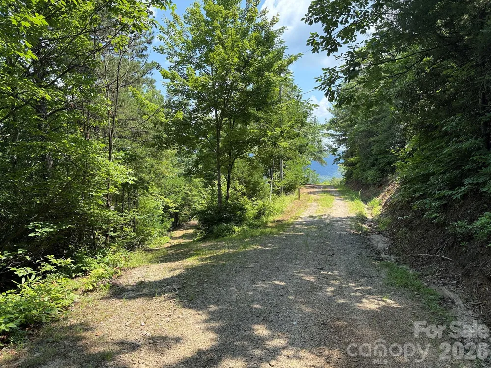 337 Lucas Path Drive #69 Purlear, NC 28665