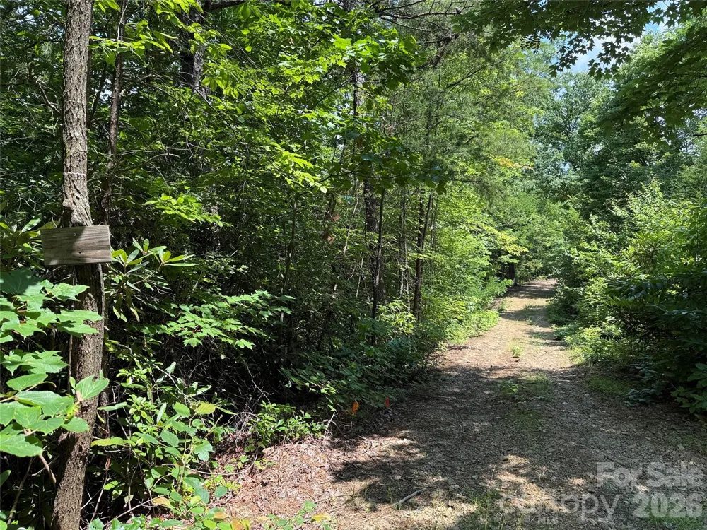 337 Lucas Path Drive #69 Purlear, NC 28665
