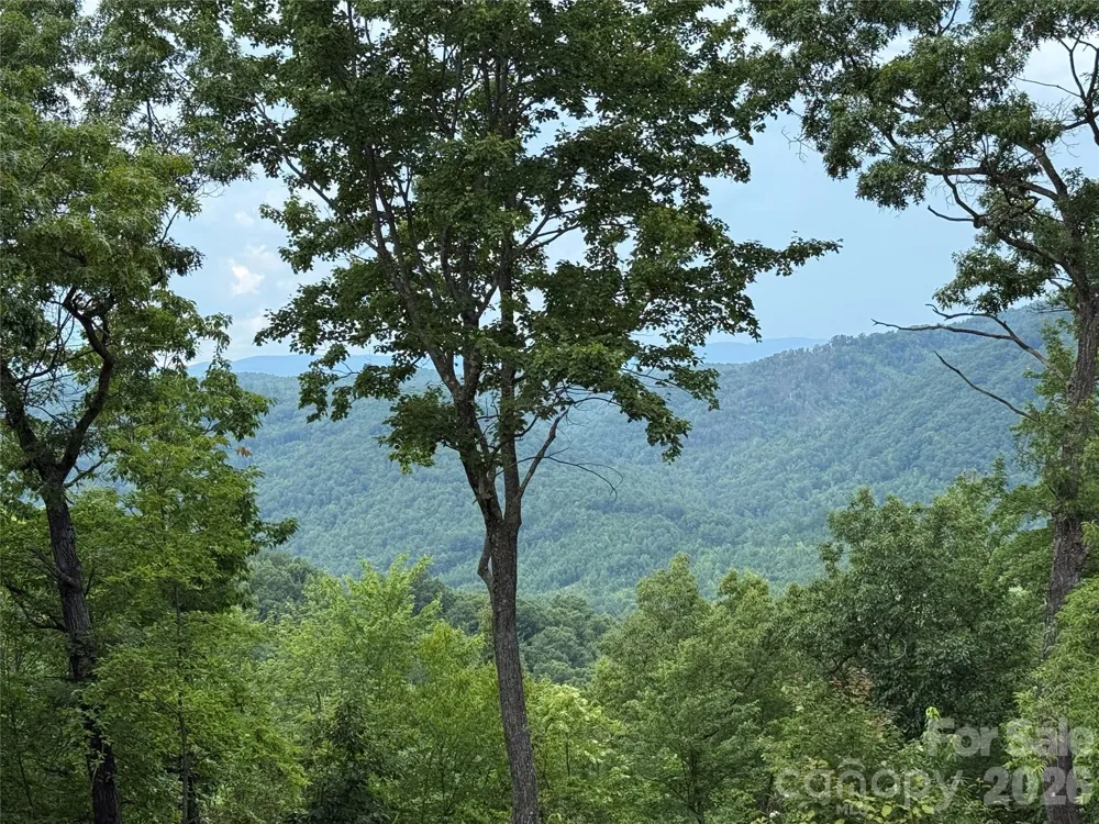 337 Lucas Path Drive #69 Purlear, NC 28665
