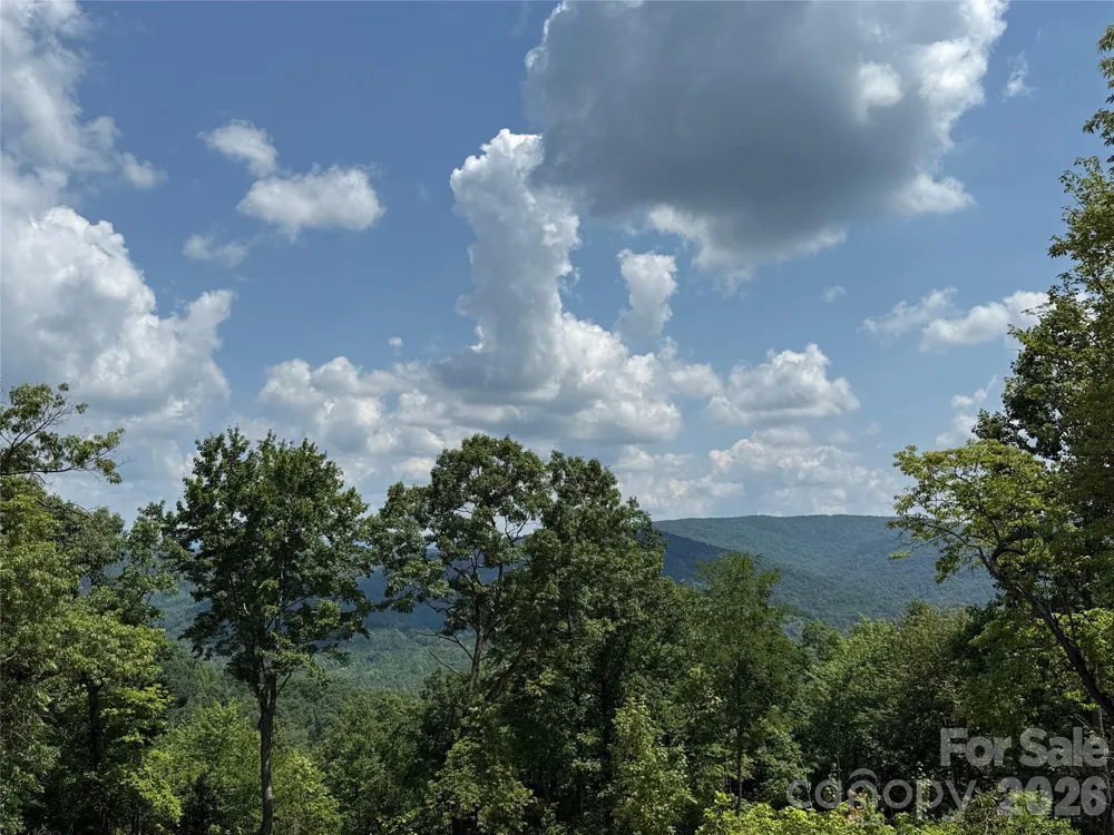 337 Lucas Path Drive #69 Purlear, NC 28665