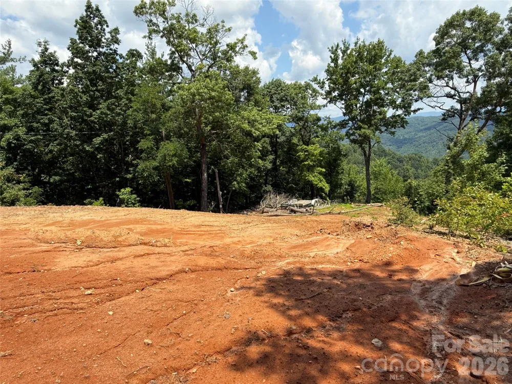 337 Lucas Path Drive #69 Purlear, NC 28665