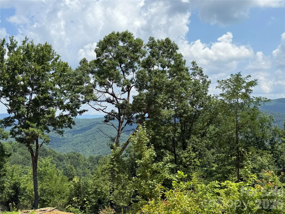 337 Lucas Path Drive #69 Purlear, NC 28665