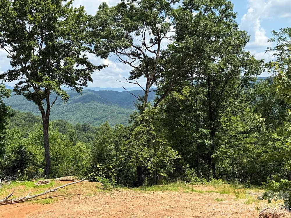 337 Lucas Path Drive #69 Purlear, NC 28665