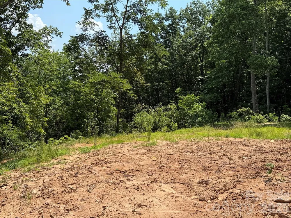 337 Lucas Path Drive #69 Purlear, NC 28665