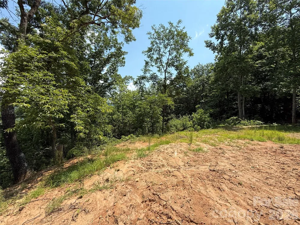 337 Lucas Path Drive #69 Purlear, NC 28665