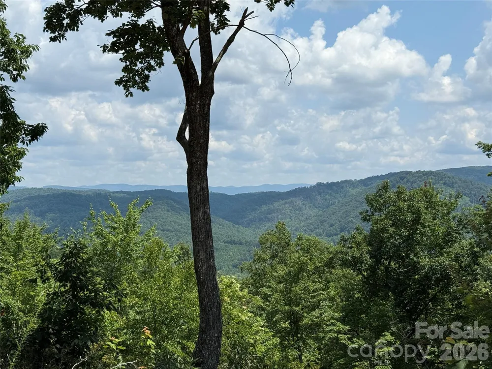 337 Lucas Path Drive #69 Purlear, NC 28665