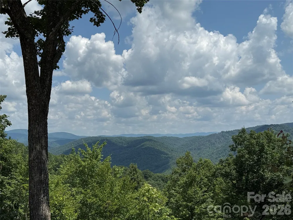 337 Lucas Path Drive #69 Purlear, NC 28665