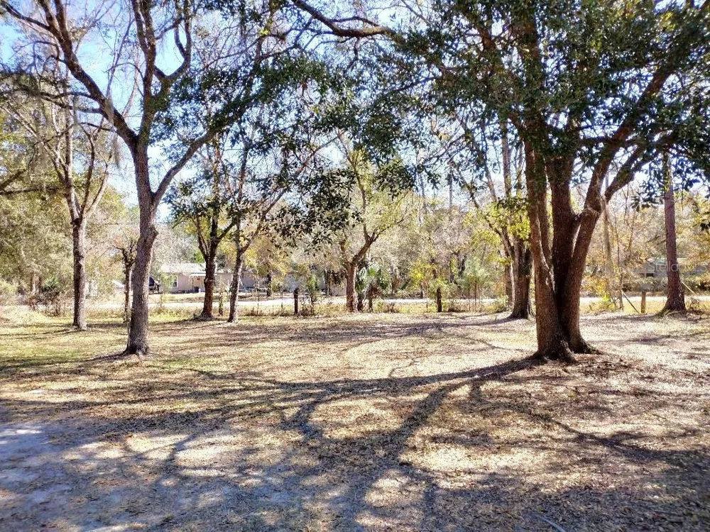 1916 LAUREL AVENUE Bunnell, FL 32110