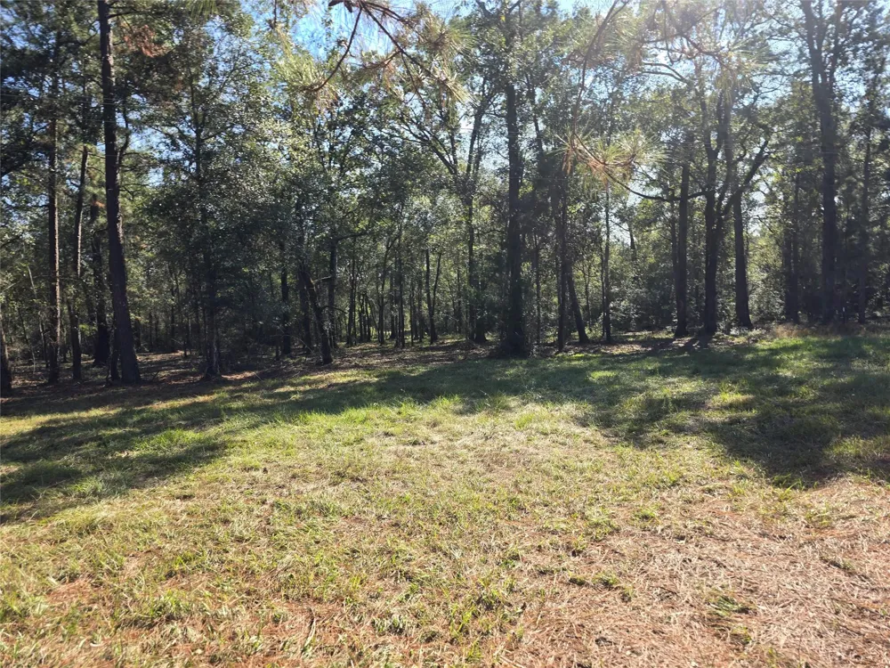 Hwy 150 W Coldspring, TX 77331