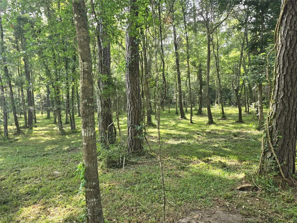Hwy 150 W Coldspring, TX 77331