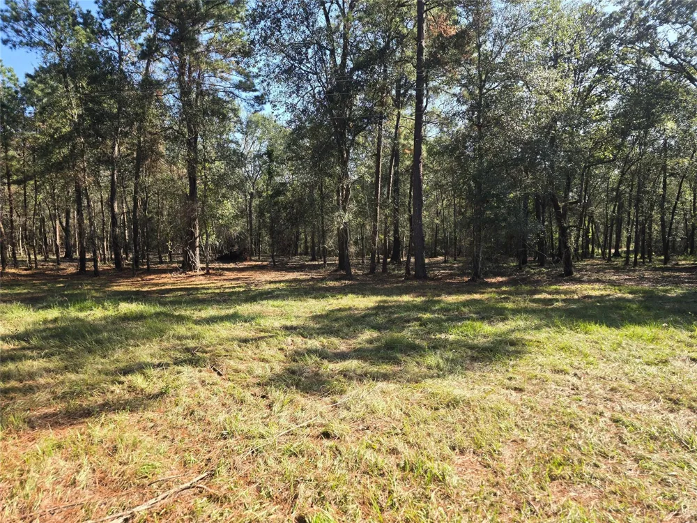 Hwy 150 W Coldspring, TX 77331