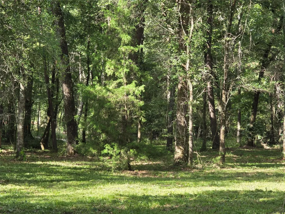 Hwy 150 W Coldspring, TX 77331