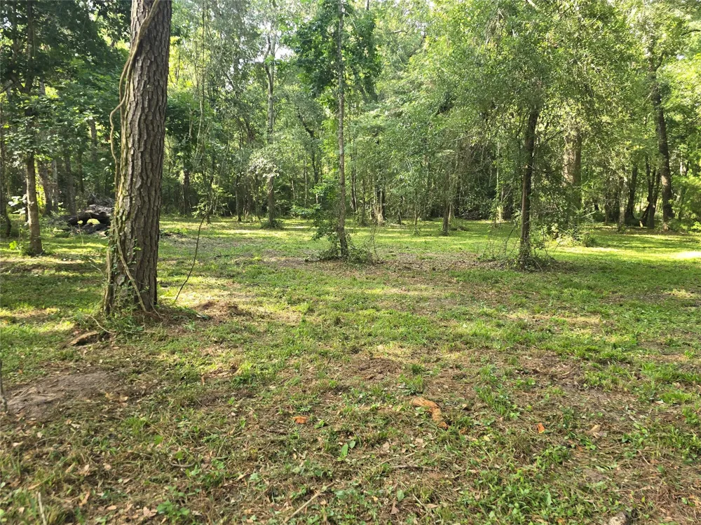 Hwy 150 W Coldspring, TX 77331