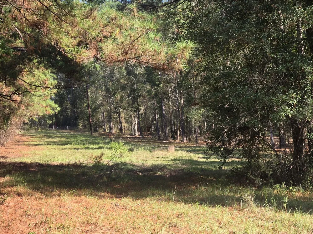 Hwy 150 W Coldspring, TX 77331