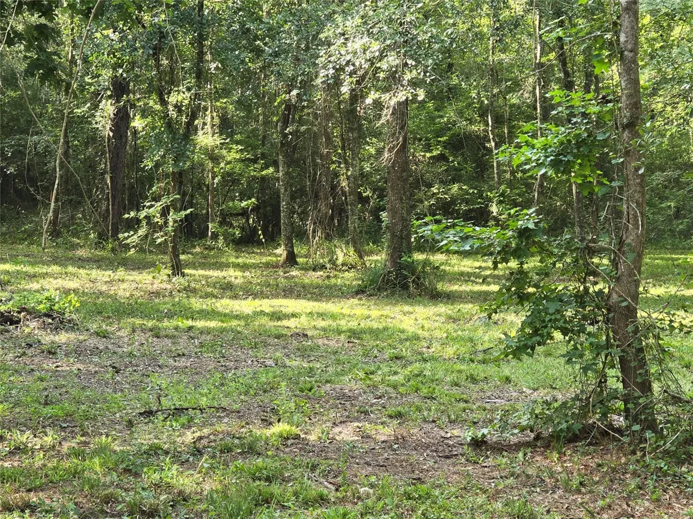 Hwy 150 W Coldspring, TX 77331