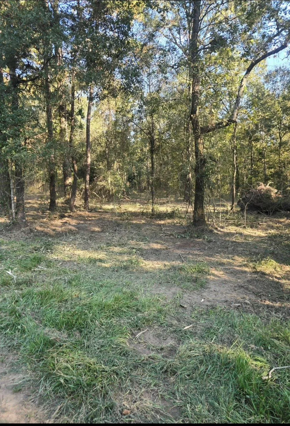 Hwy 150 W Coldspring, TX 77331