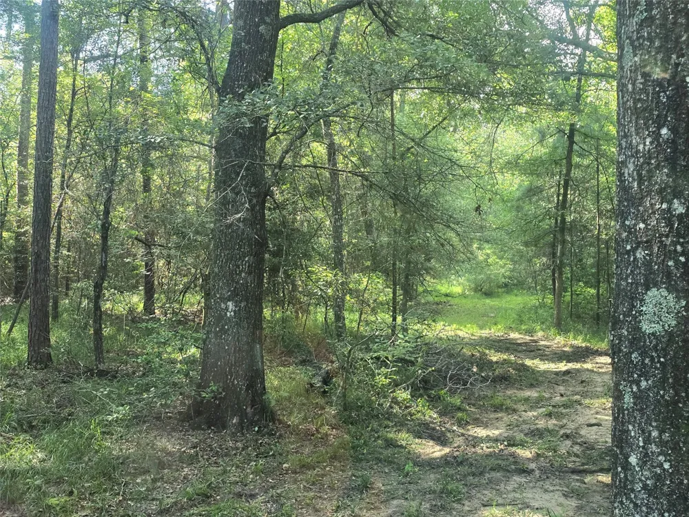 Hwy 150 W Coldspring, TX 77331