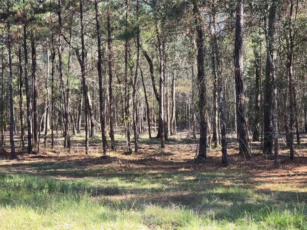Hwy 150 W Coldspring, TX 77331