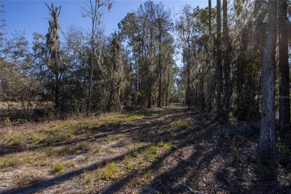 155TH WAY Starke, FL 32091