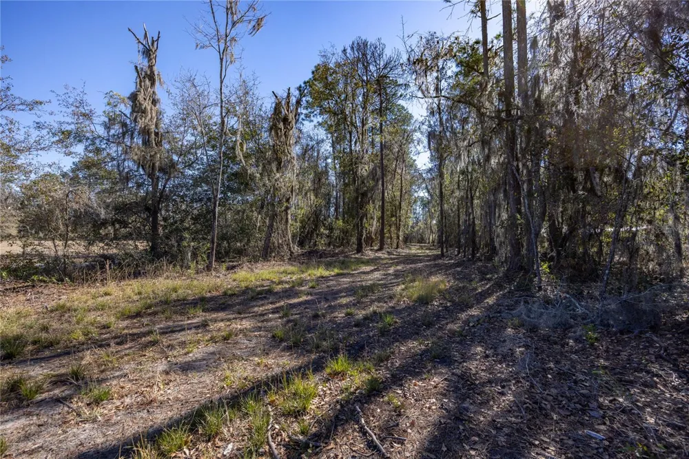 155TH WAY Starke, FL 32091