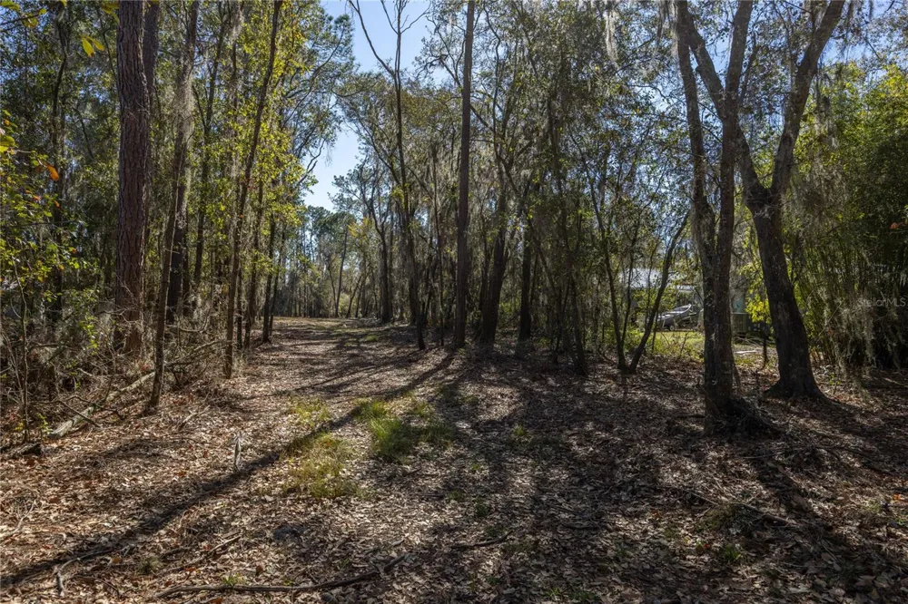 155TH WAY Starke, FL 32091