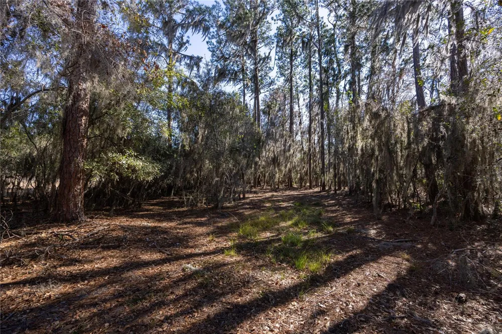 155TH WAY Starke, FL 32091