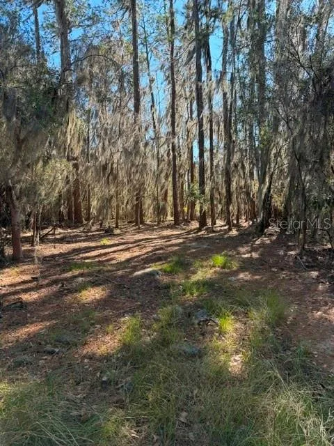155TH WAY Starke, FL 32091