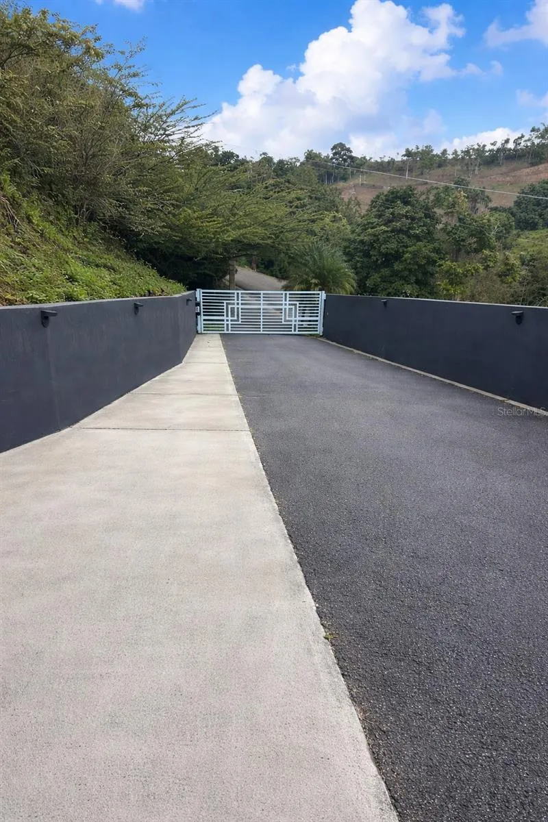 172 RIO ABAJO Cidra, PR 00739