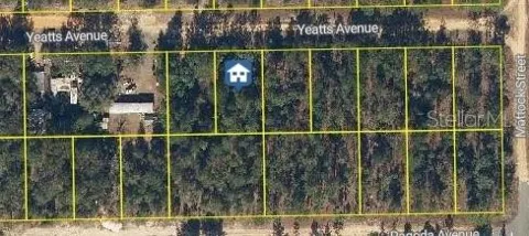 111 YEATTS AVENUE
