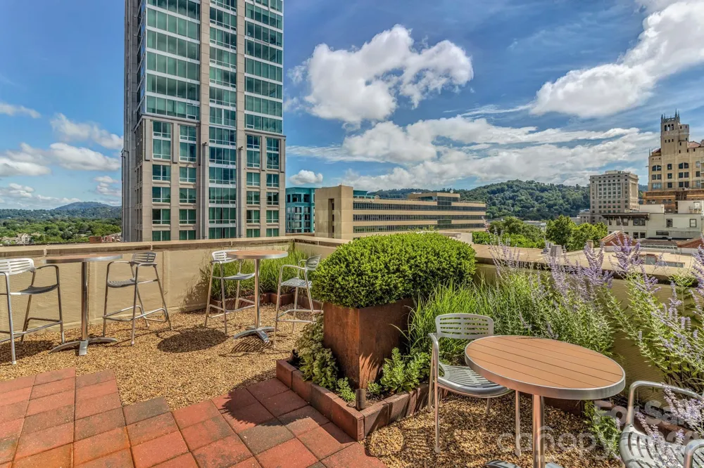 12 S Lexington Avenue #402 Asheville, NC 28801