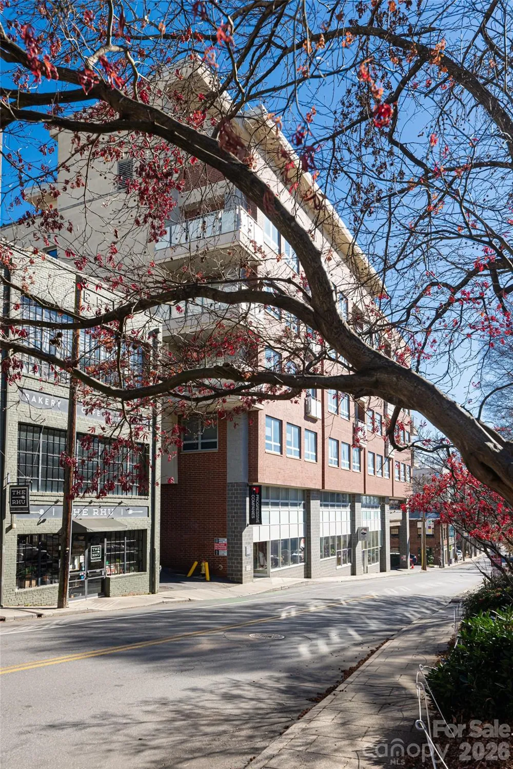 12 S Lexington Avenue #402 Asheville, NC 28801