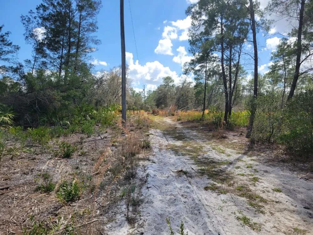 TENNESSEE STREET Paisley, FL 32767