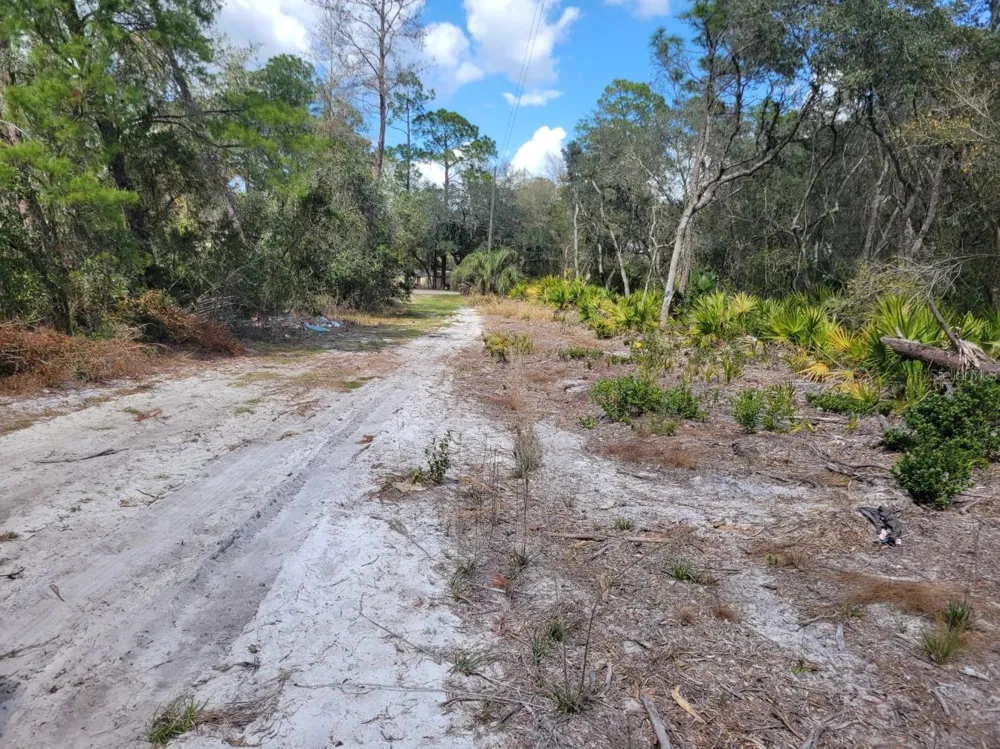 TENNESSEE STREET Paisley, FL 32767