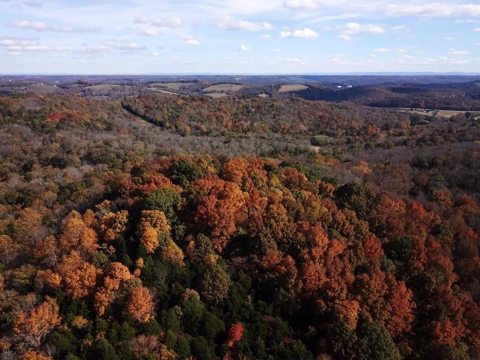 0 New Herman Rd Lynchburg, TN 37352