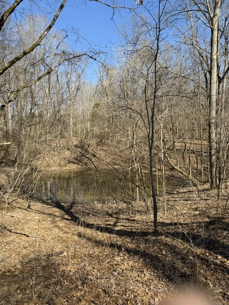 0 New Herman Rd Lynchburg, TN 37352