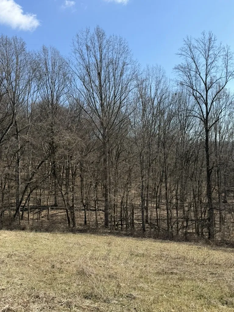 0 New Herman Rd Lynchburg, TN 37352