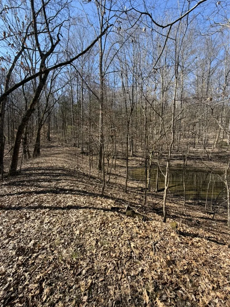 0 New Herman Rd Lynchburg, TN 37352