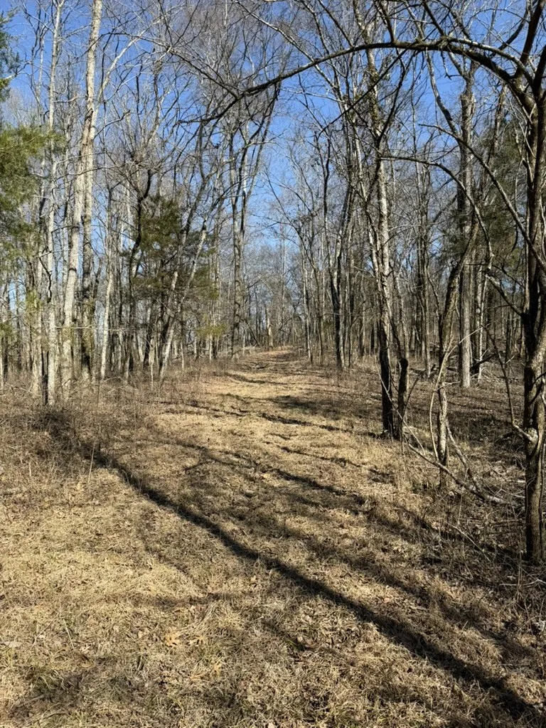 0 New Herman Rd Lynchburg, TN 37352