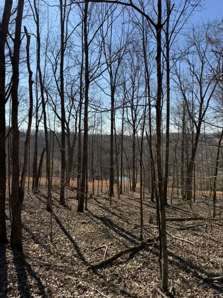 0 New Herman Rd Lynchburg, TN 37352