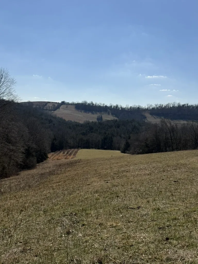 0 New Herman Rd Lynchburg, TN 37352