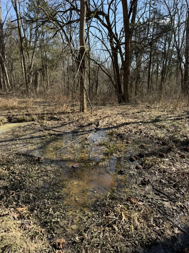 0 New Herman Rd Lynchburg, TN 37352