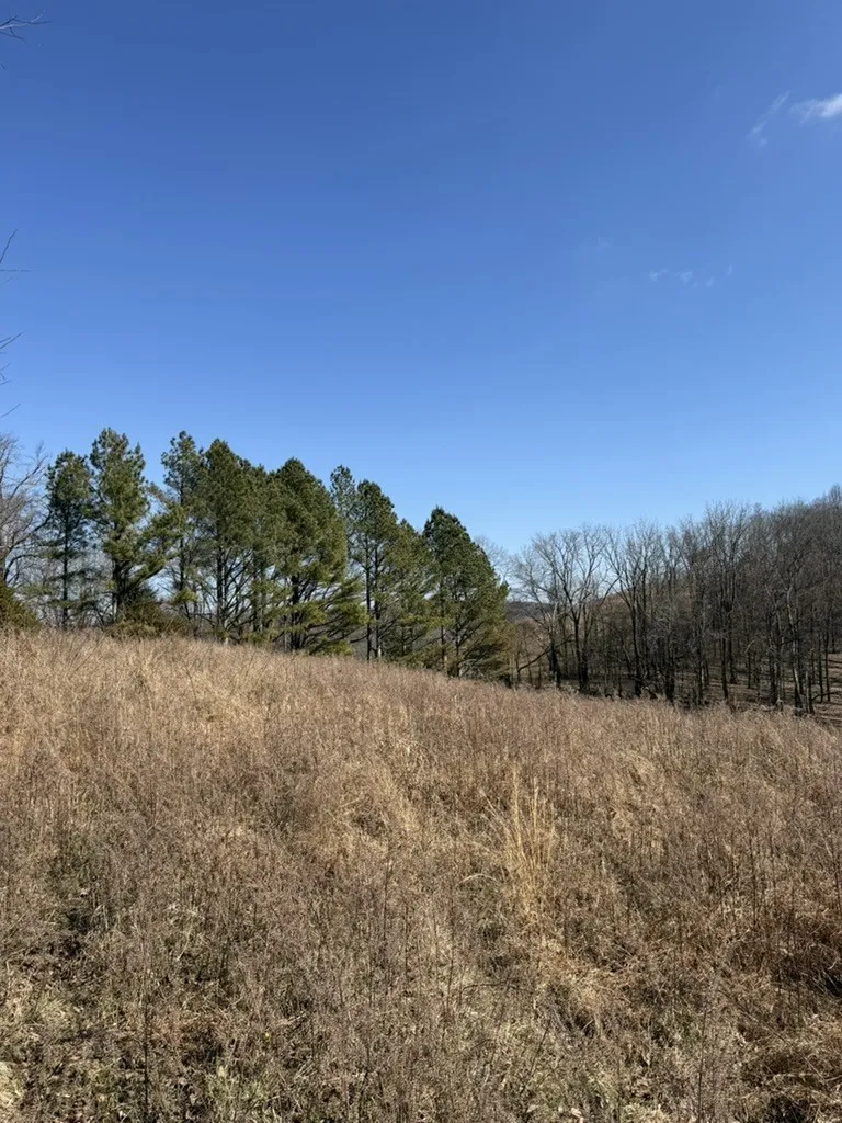 0 New Herman Rd Lynchburg, TN 37352