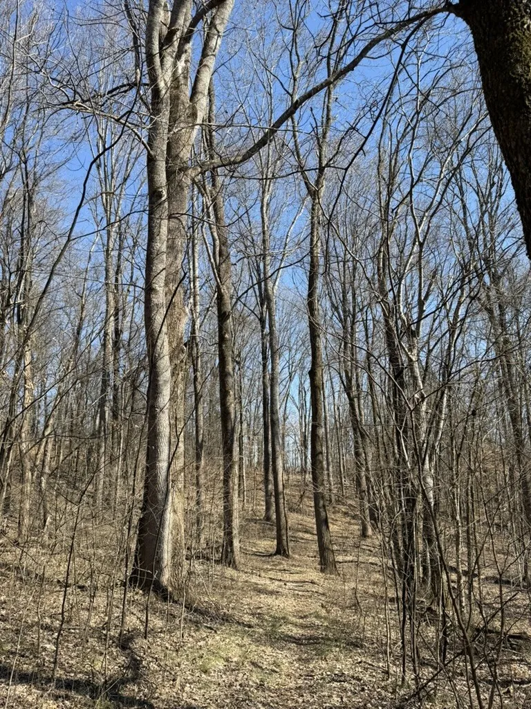 0 New Herman Rd Lynchburg, TN 37352