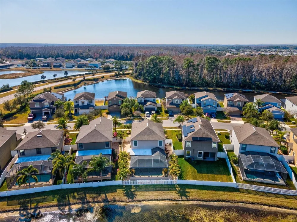 1716 HADDEN HALL PLACE Trinity, FL 34655