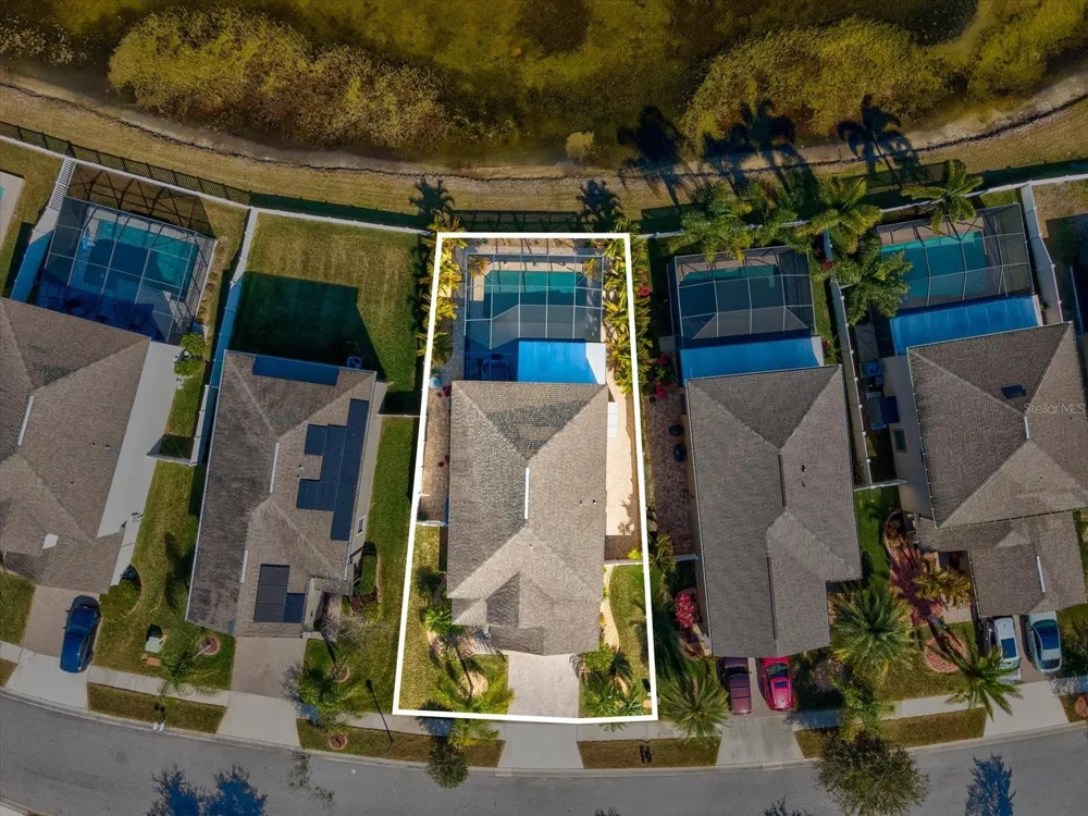 1716 HADDEN HALL PLACE Trinity, FL 34655