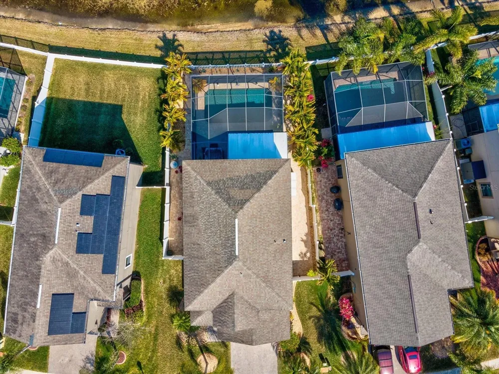 1716 HADDEN HALL PLACE Trinity, FL 34655