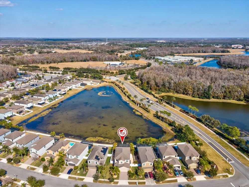 1716 HADDEN HALL PLACE Trinity, FL 34655