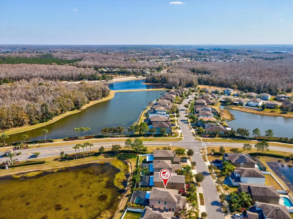 1716 HADDEN HALL PLACE Trinity, FL 34655