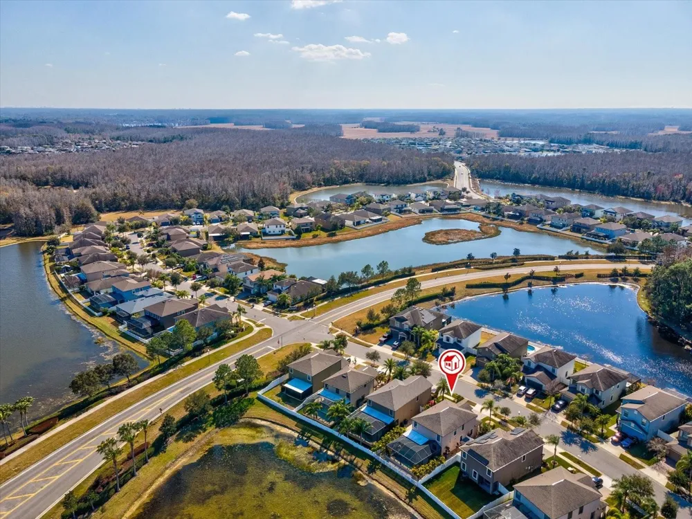 1716 HADDEN HALL PLACE Trinity, FL 34655